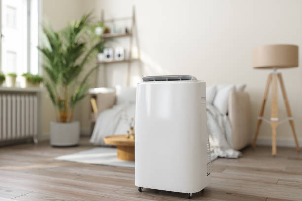 Best Ductless HVAC Repair  in Edenton, NC